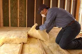 Best Garage Insulation  in Douglas, WY