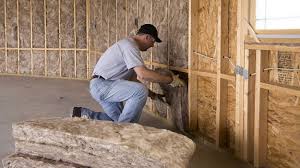 Best Wall Insulation Installation  in Douglas, WY