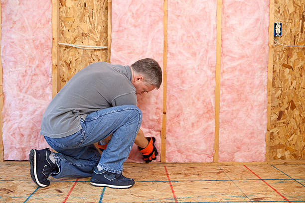 Best Attic Insulation Installation  in Douglas, WY